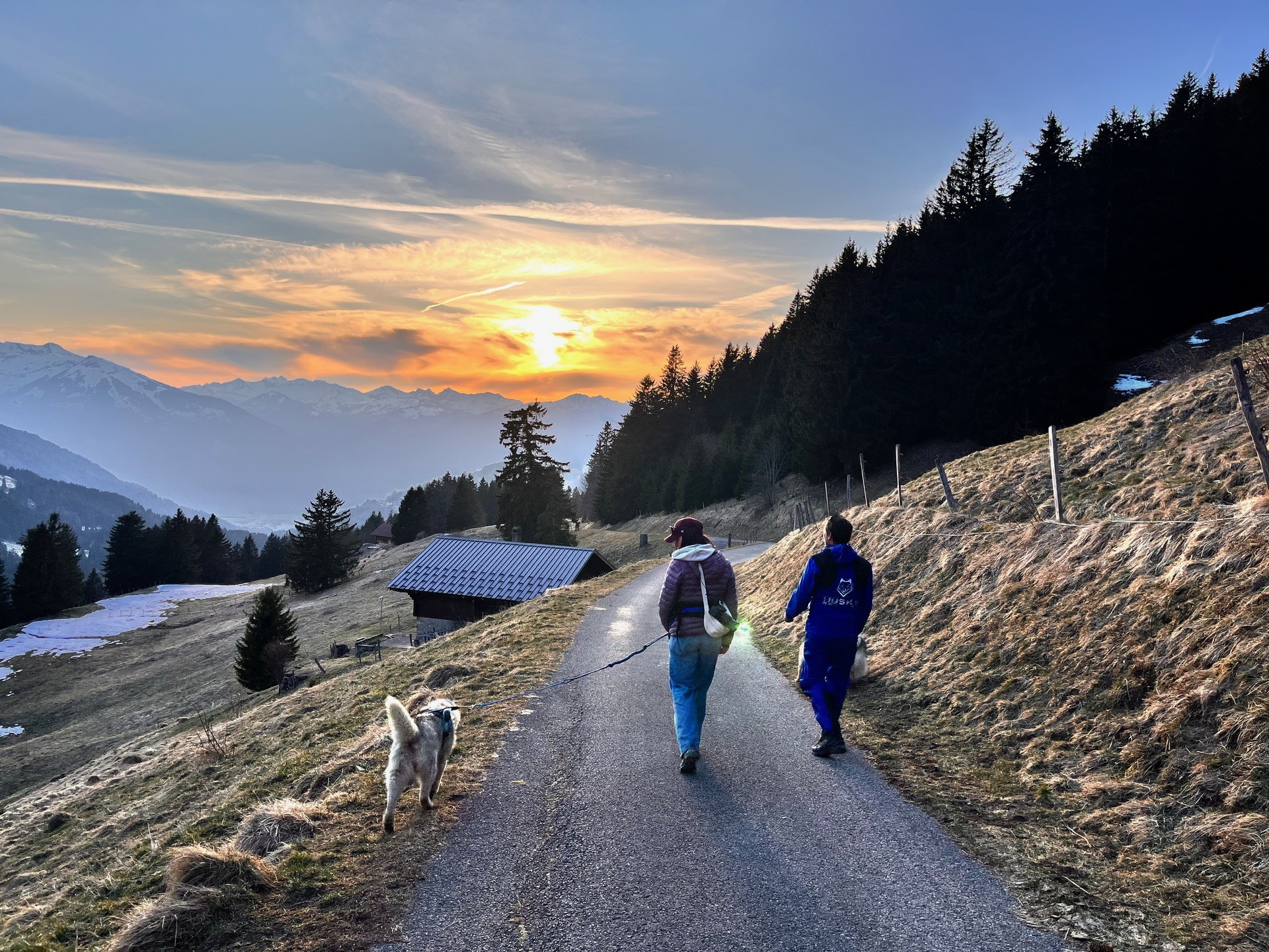 Fin de balade au soleil couchant