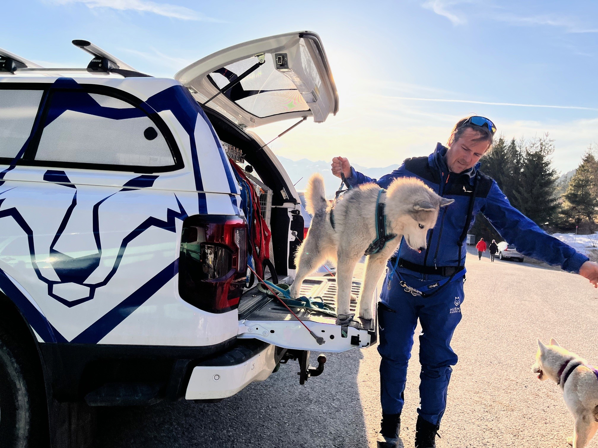 Les chiens ravis de sortir de leur voiture de transport pour débuter une balade en pleine nature.
