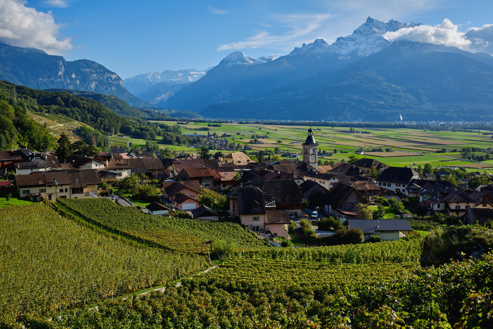 Vue sur le vignoble et le bourg d'Ollon, les montagnes comme toile de fond