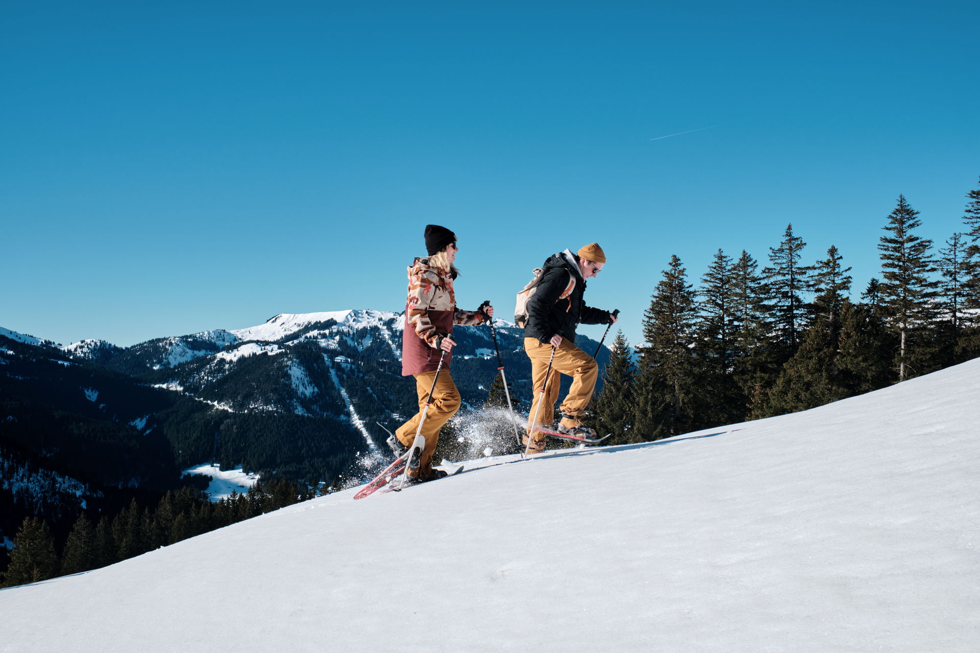 Schneeschuhwandern - Les Diablerets
