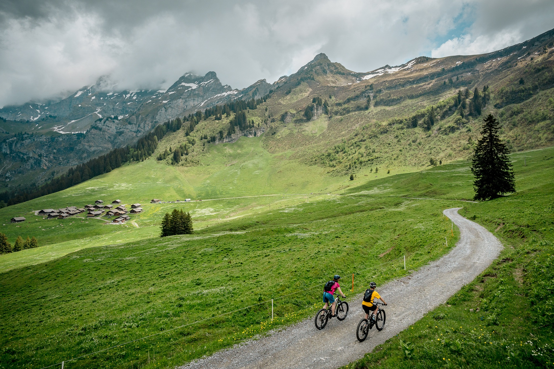 A Swiss with a Pulse - Alain Rumpf