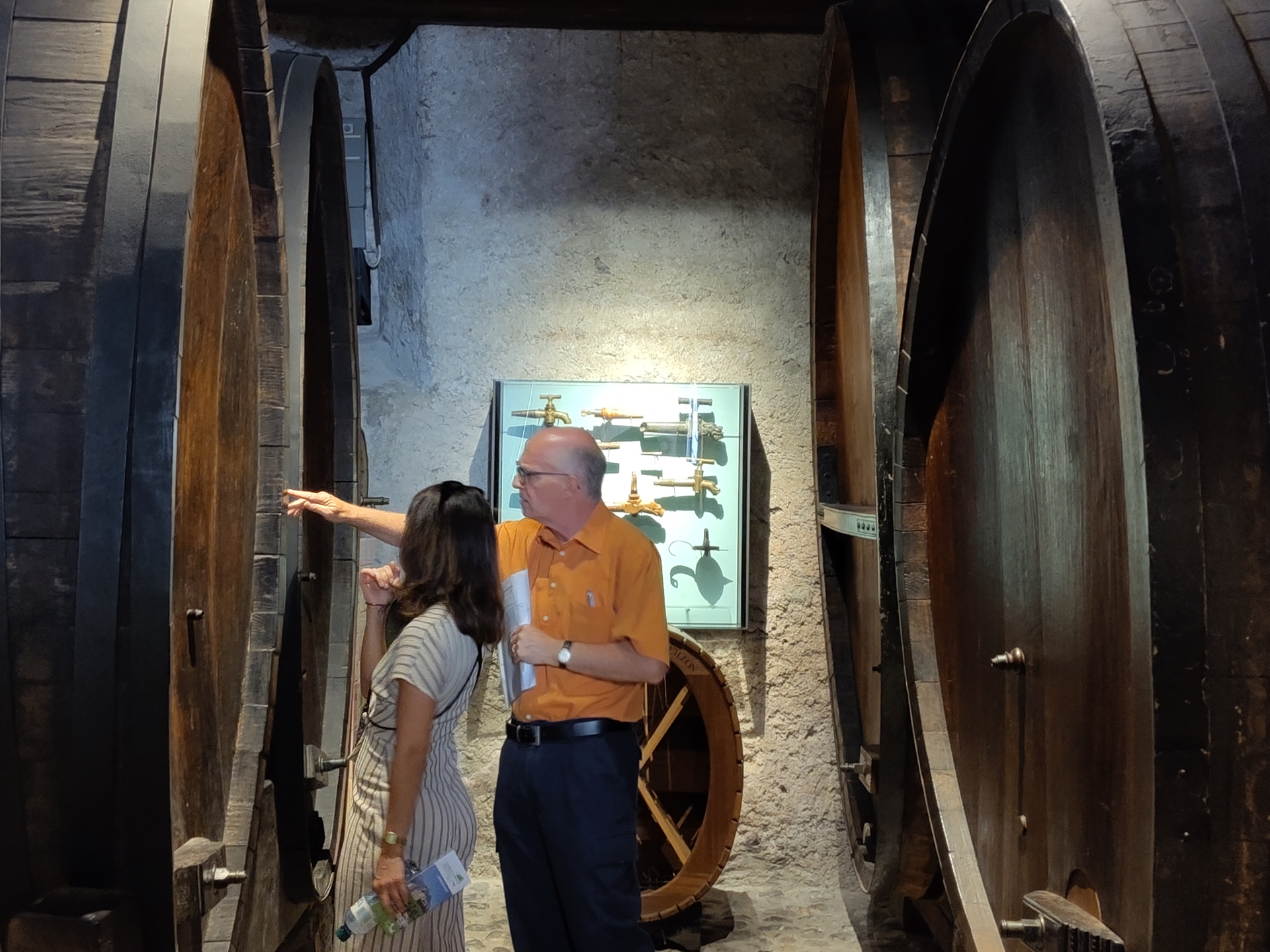 Barrels, period presses, and many historical remains await discovery