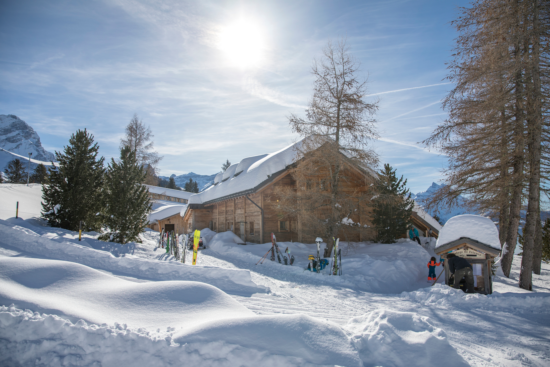 Frience hiver