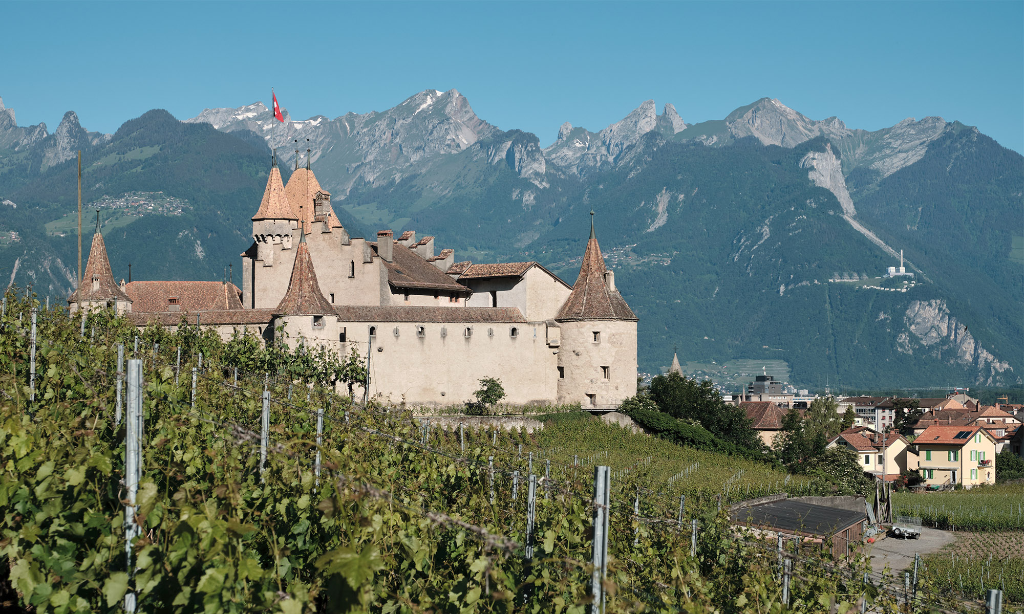 Chateau - Aigle - Eté - Matthias Lehmann