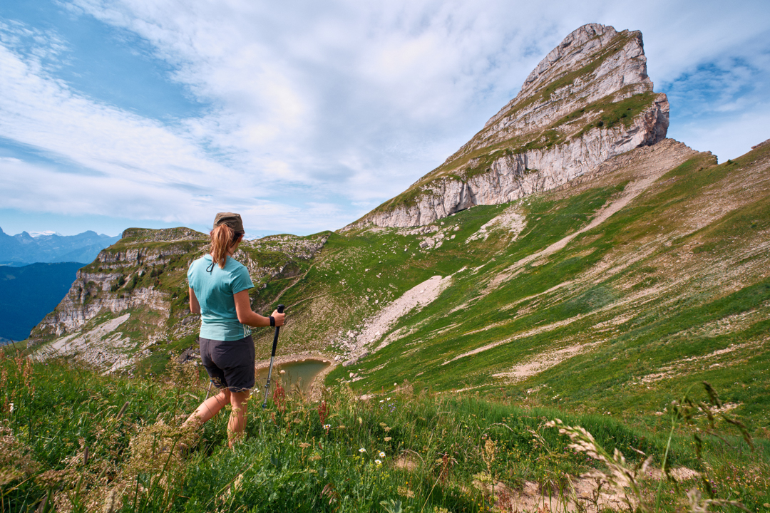 Mayen tower - summer - Leysin