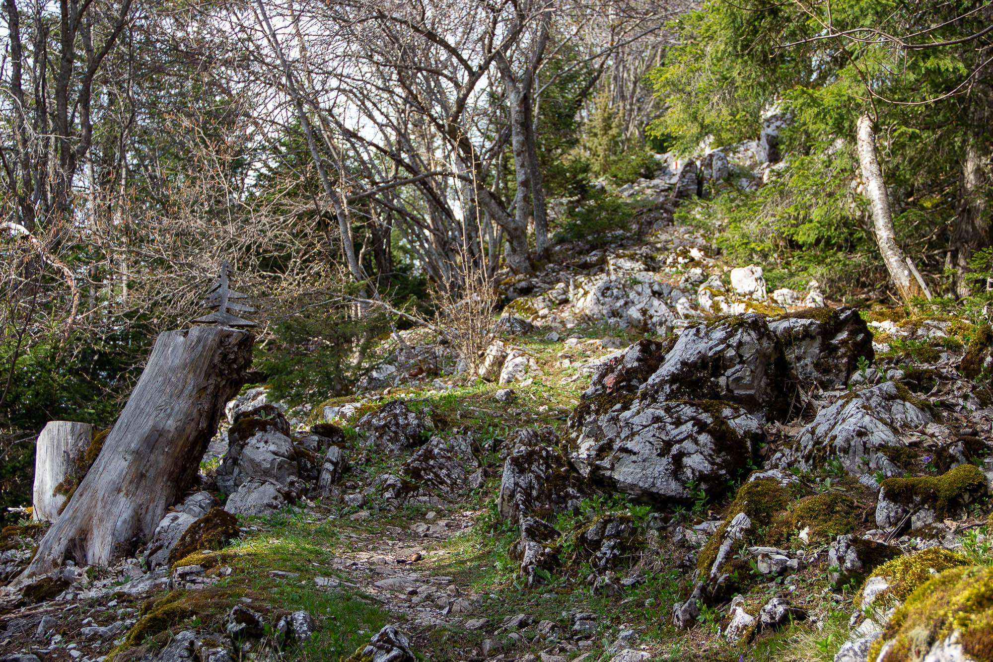 Crevasse - Weg bergauf - Frühling - Jonas Froment