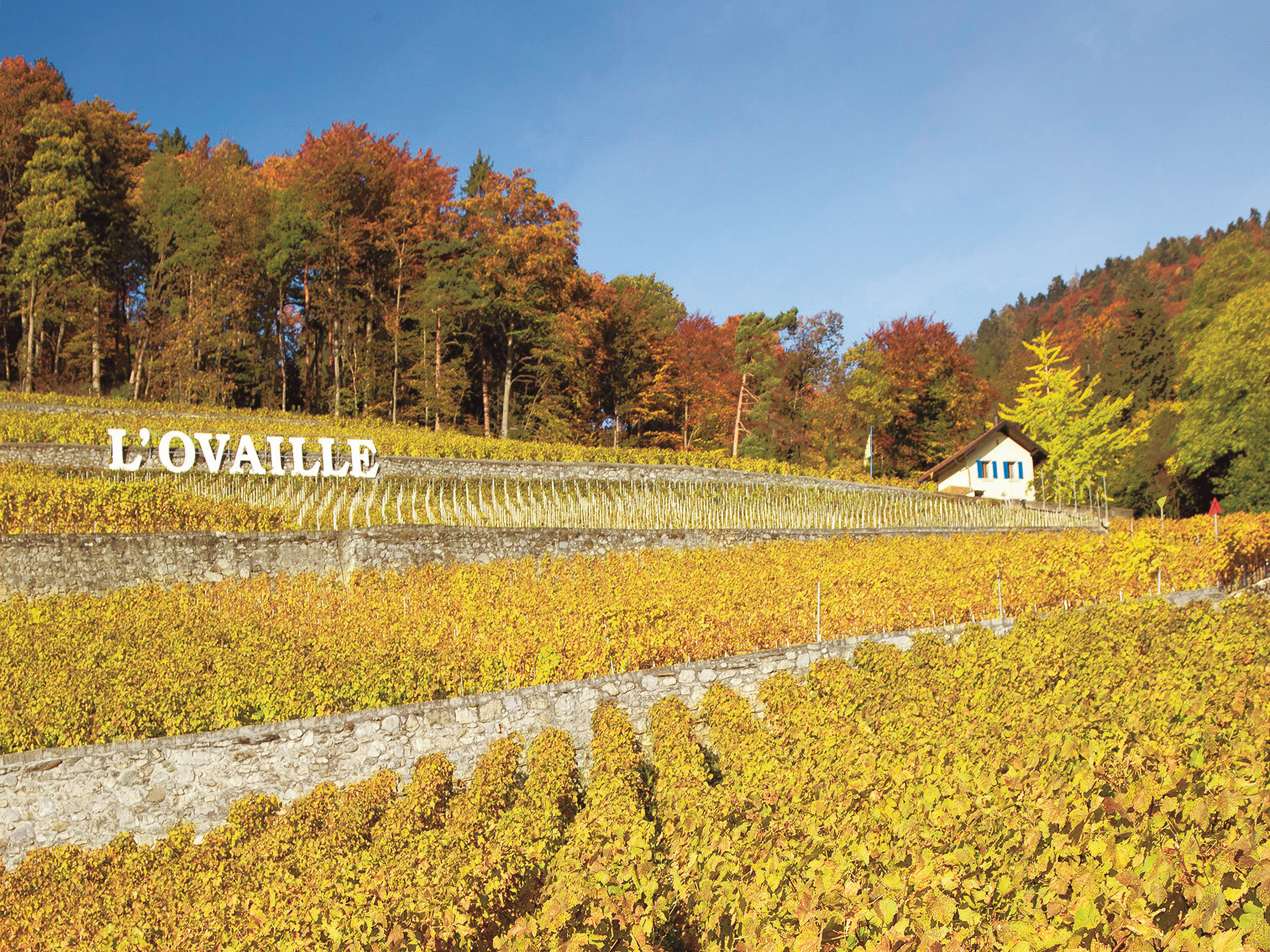 Domaine de l'Ovaille