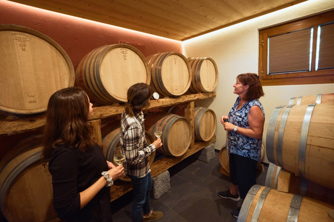 Barrique - Domaine Dillet