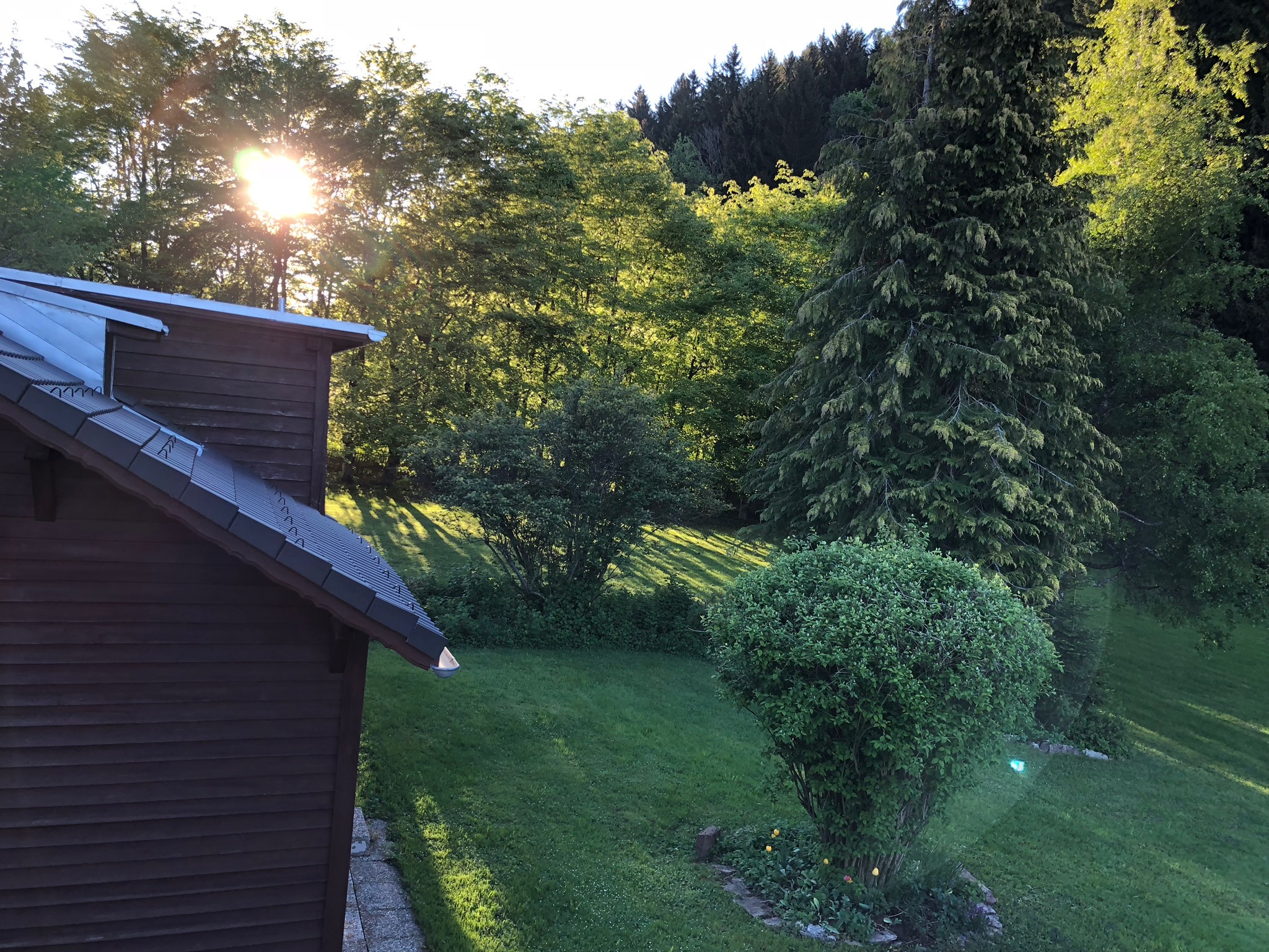 Chalet le Petit Tremplin - Sommer - Leysin