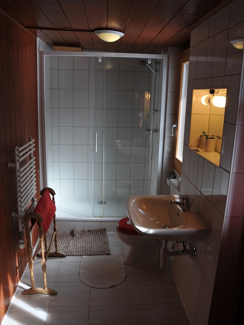 Chalet le Petit Tremplin / Badezimmer - Leysin
