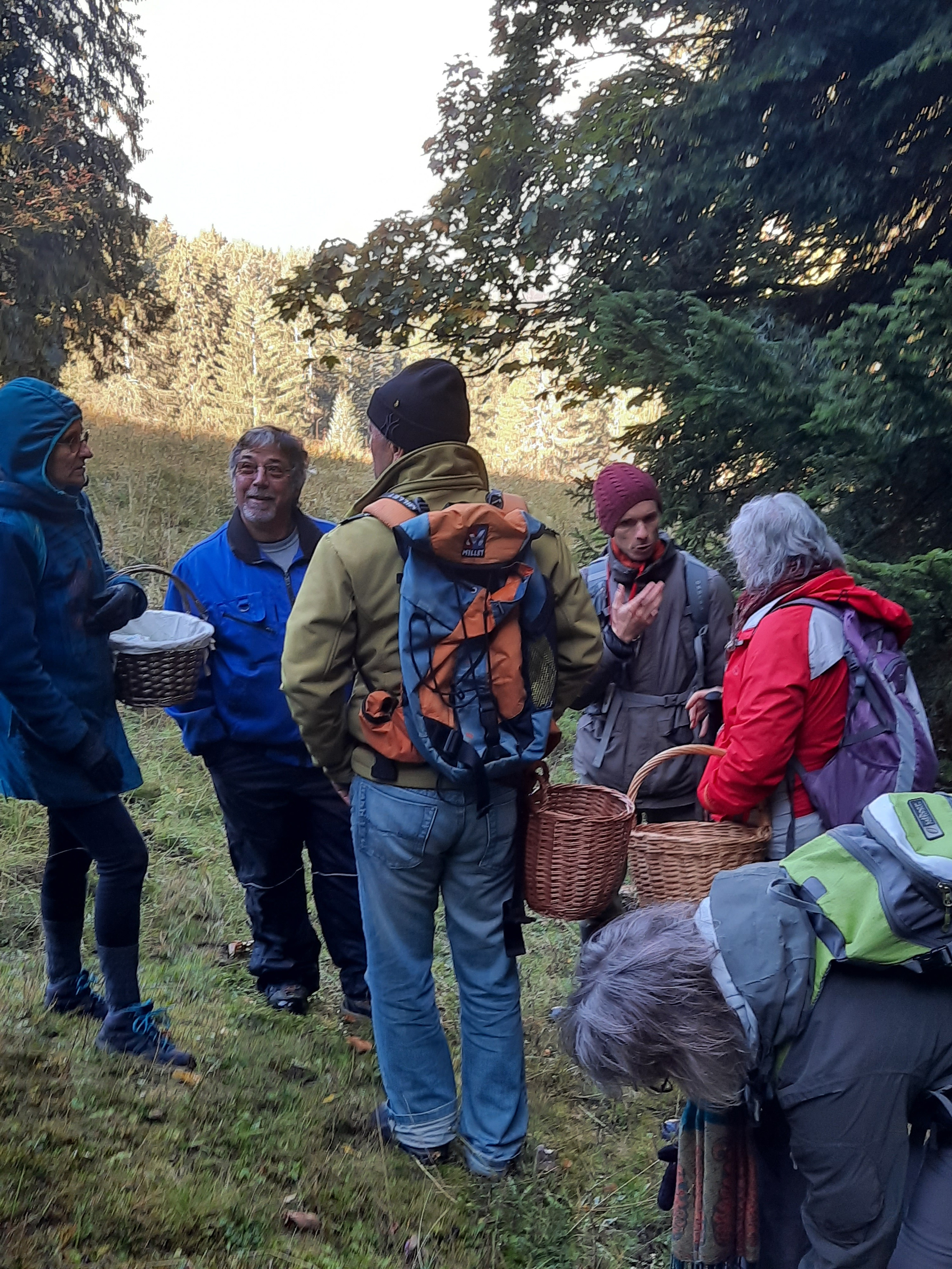 Leysin Mushroom Walk 2026
