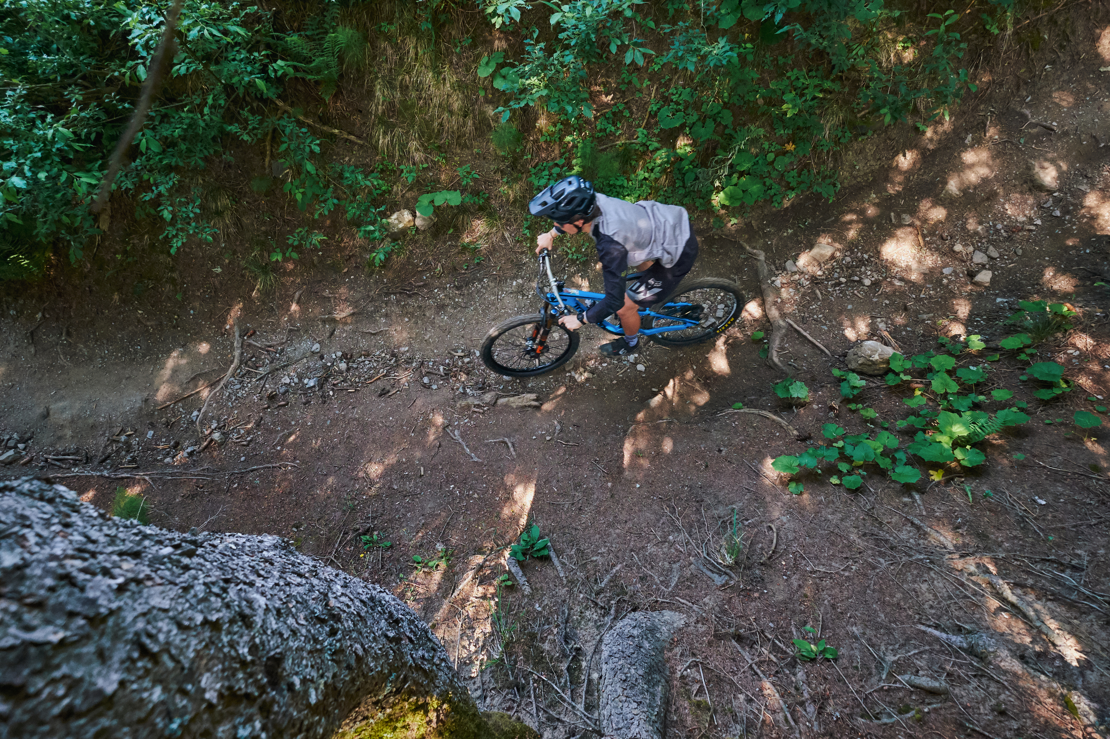 VTT