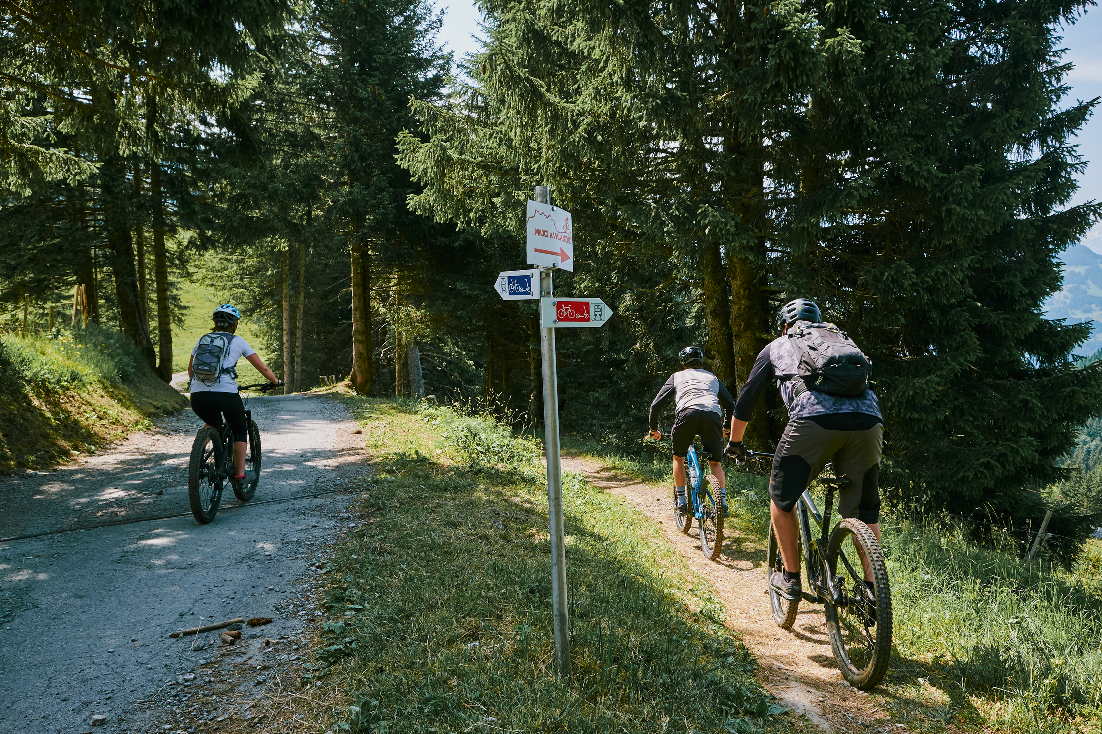 VTT