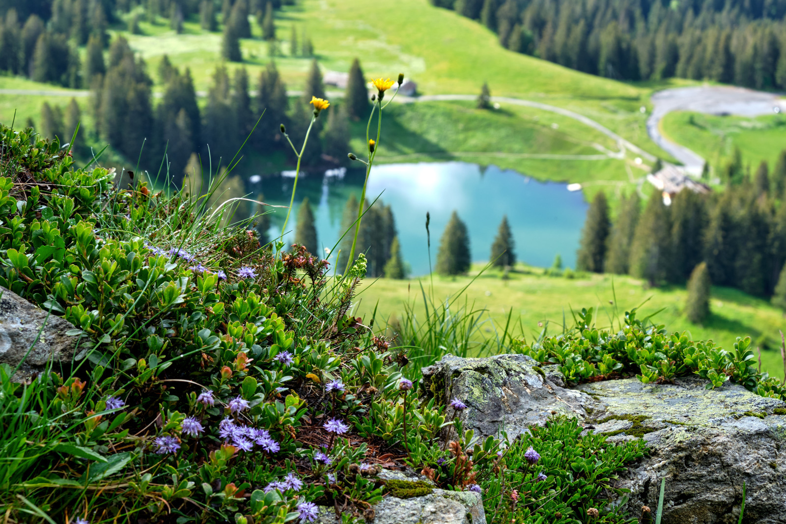 Visualps.ch