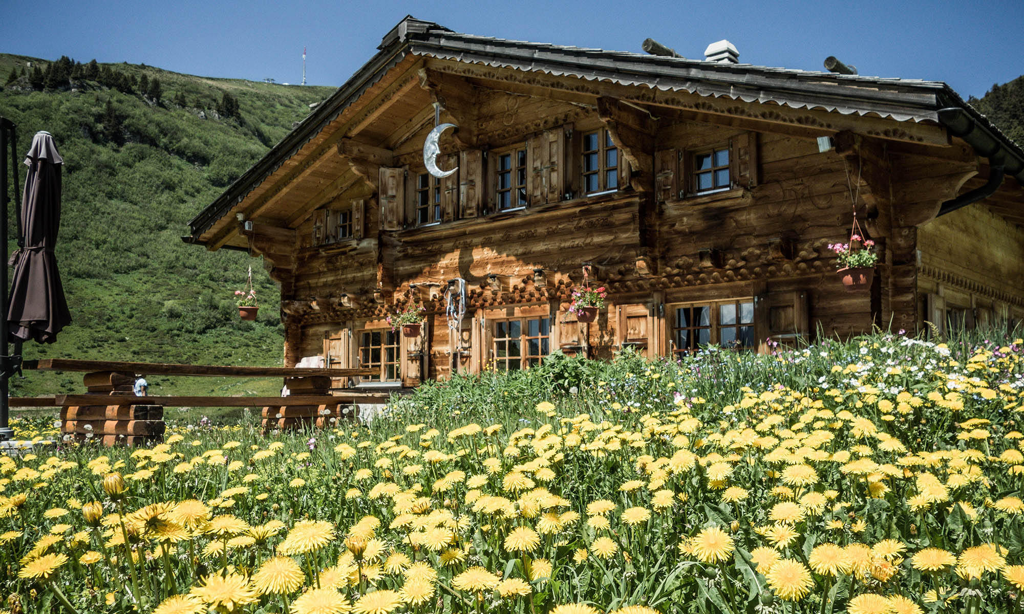 Bretaye Chalet - été - Villars - Roman Tyulyakov