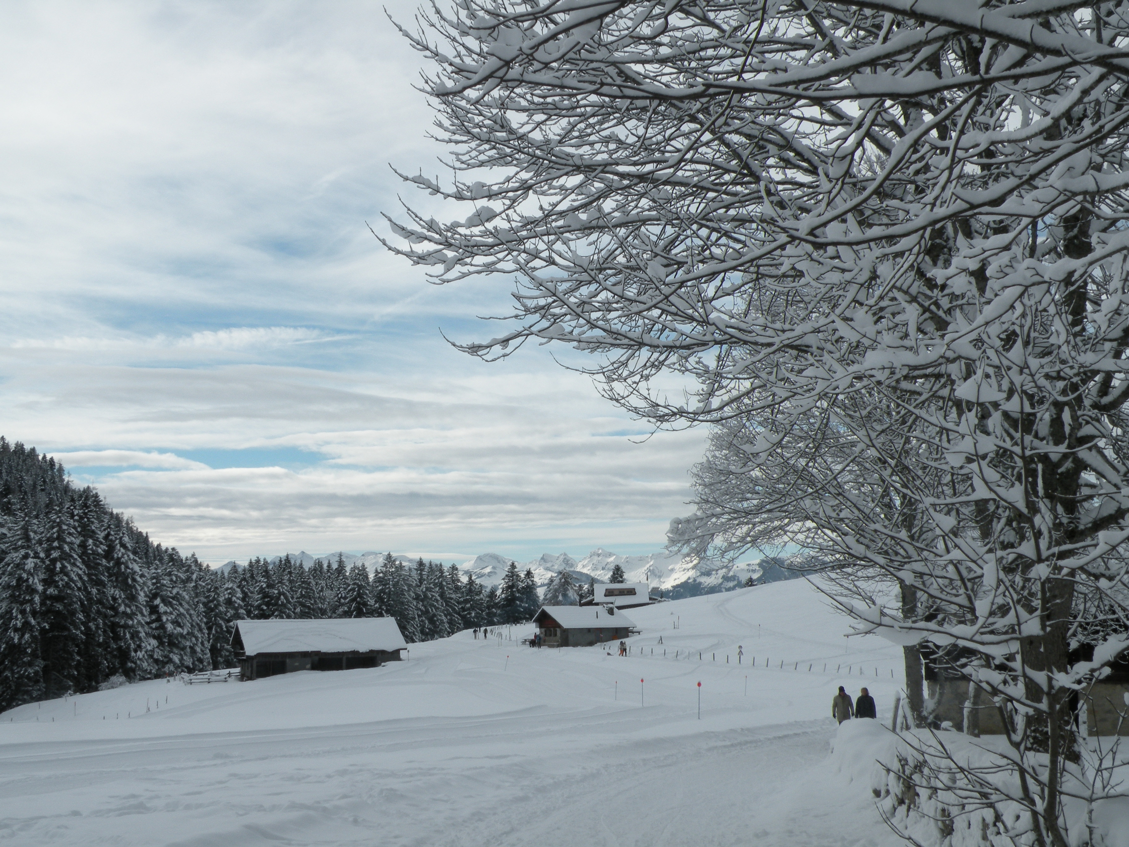 Vallon de Cergnement