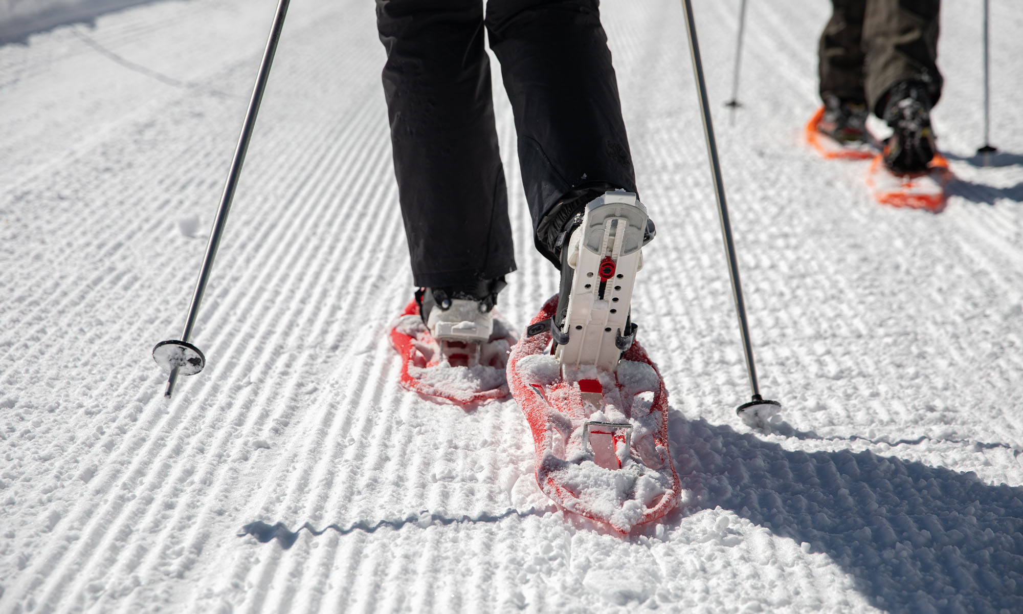 Snowshoeing-les Ecovets la Truche-winter-Olivier Fatzer