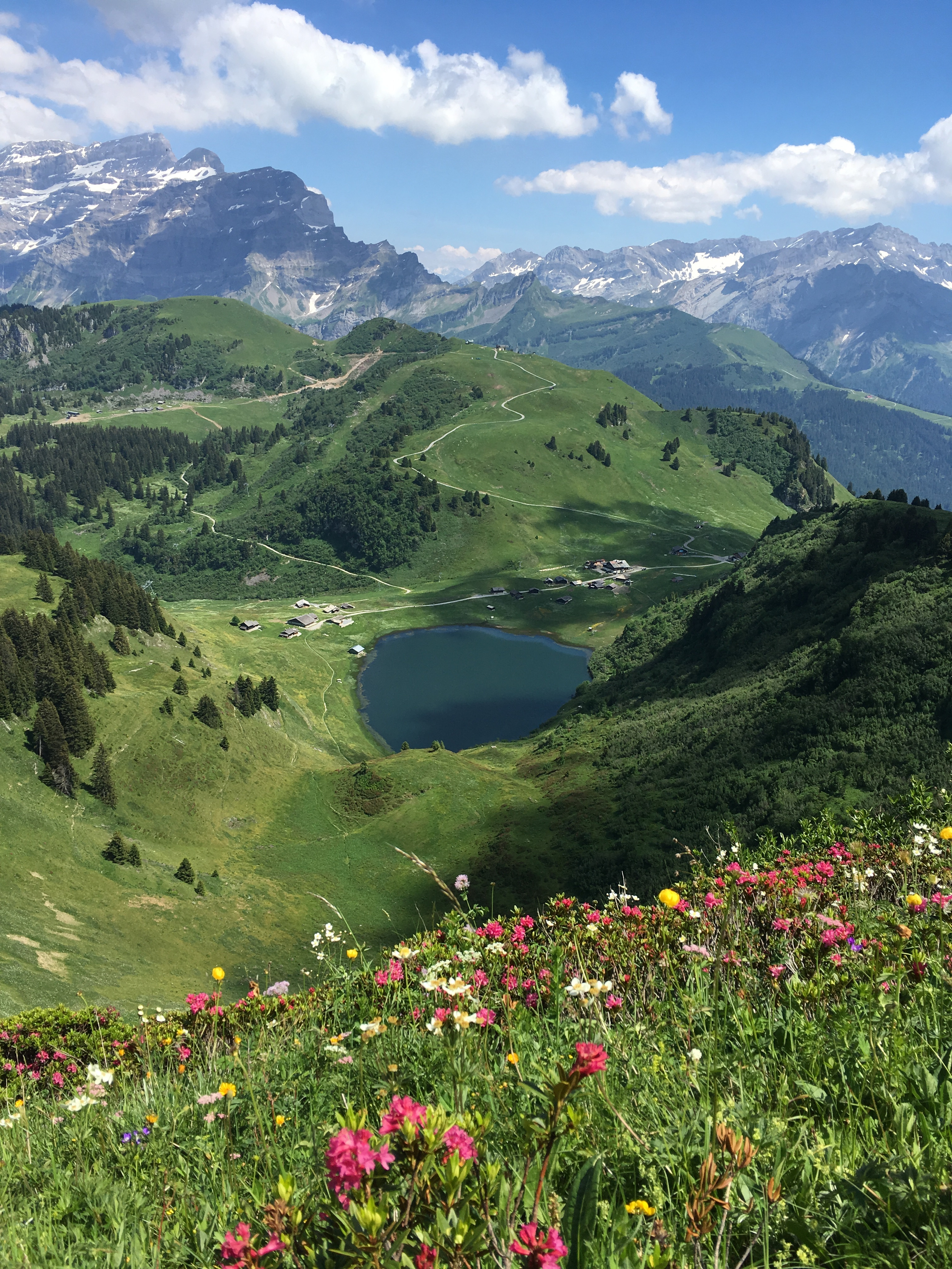 Lac de Bretaye - paysage été