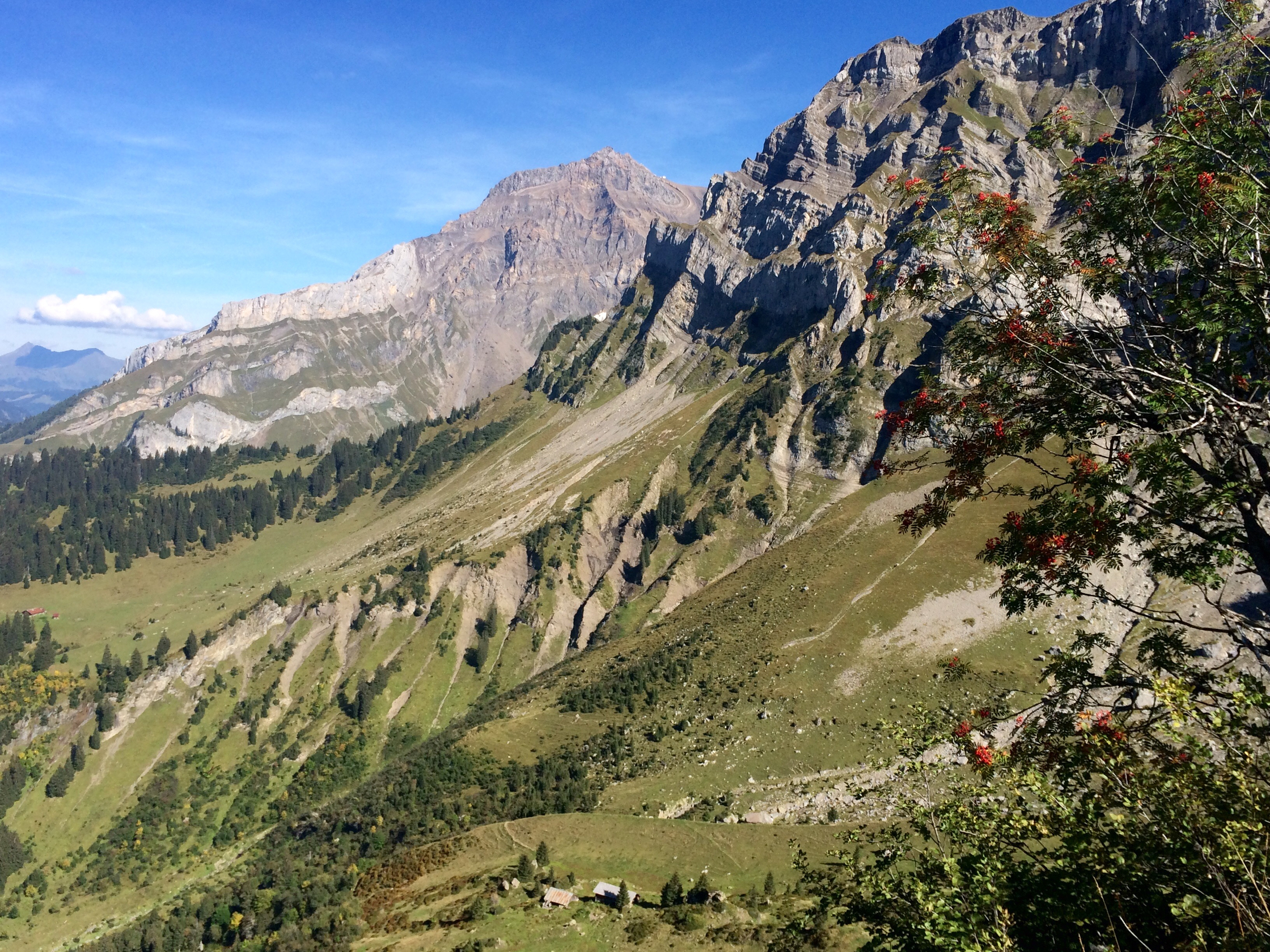 Arpille