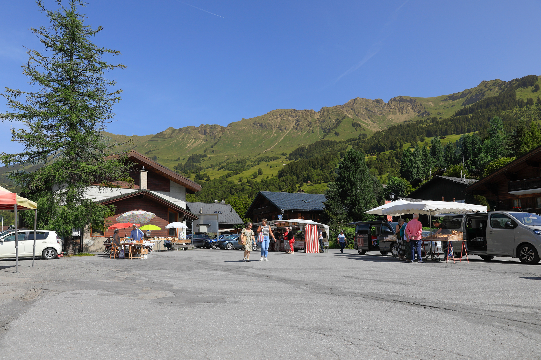 Diablerets market