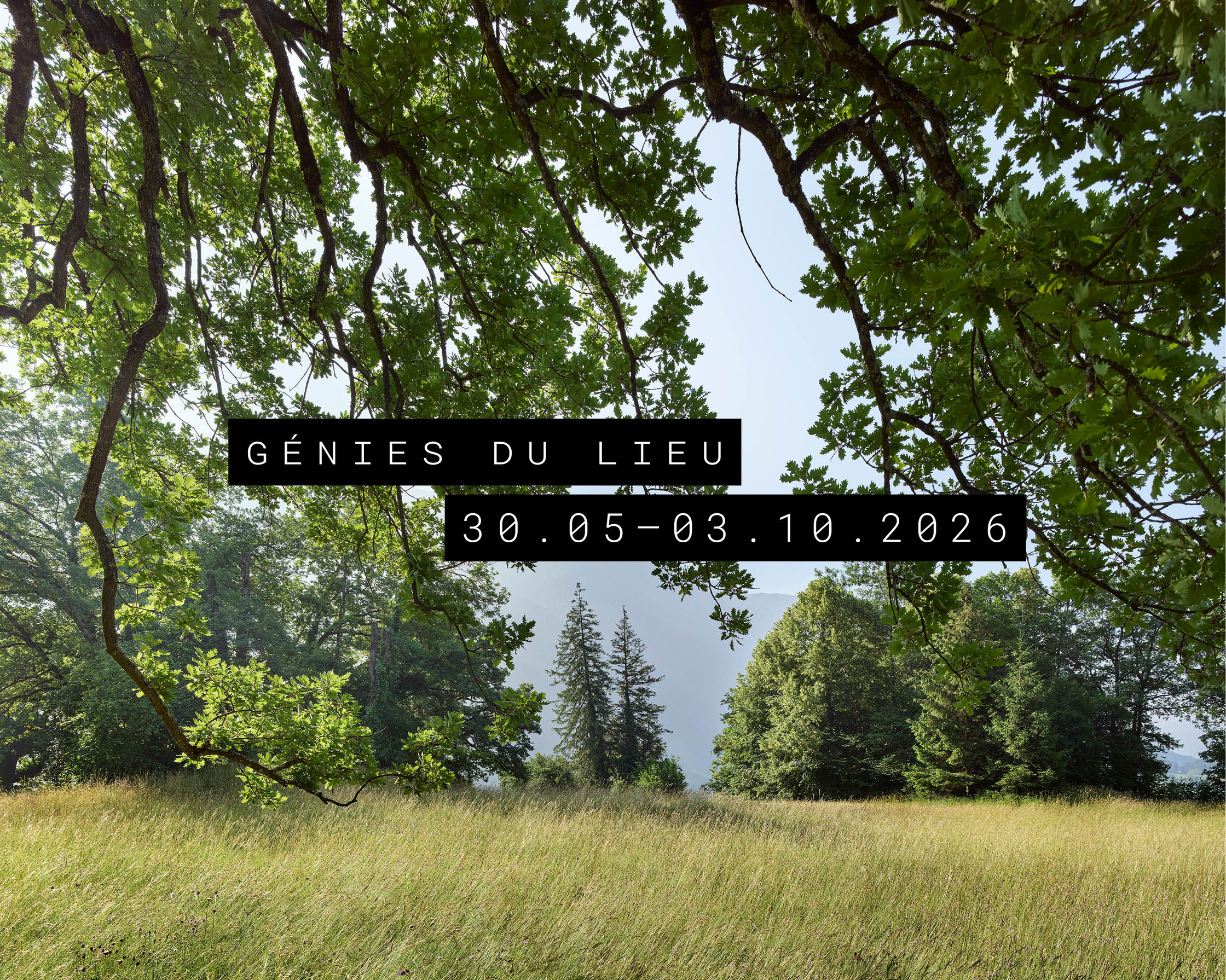 image_Génies du lieu.jpg