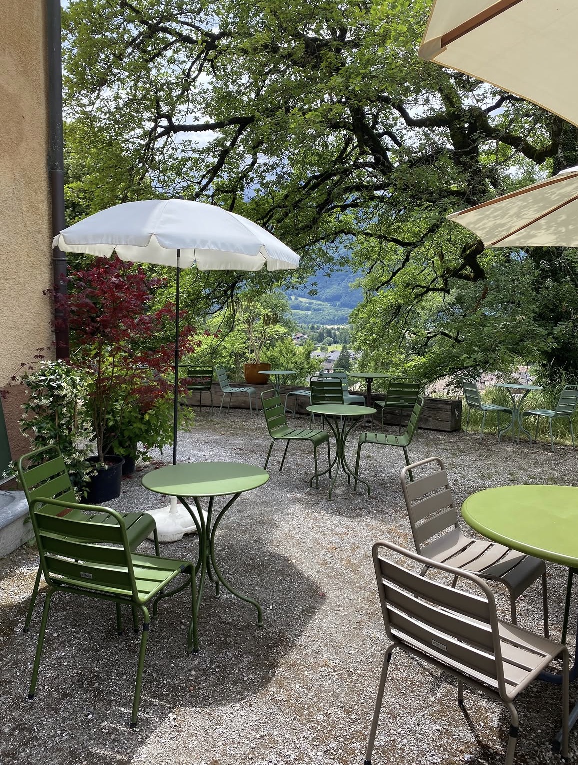 4_buvette
