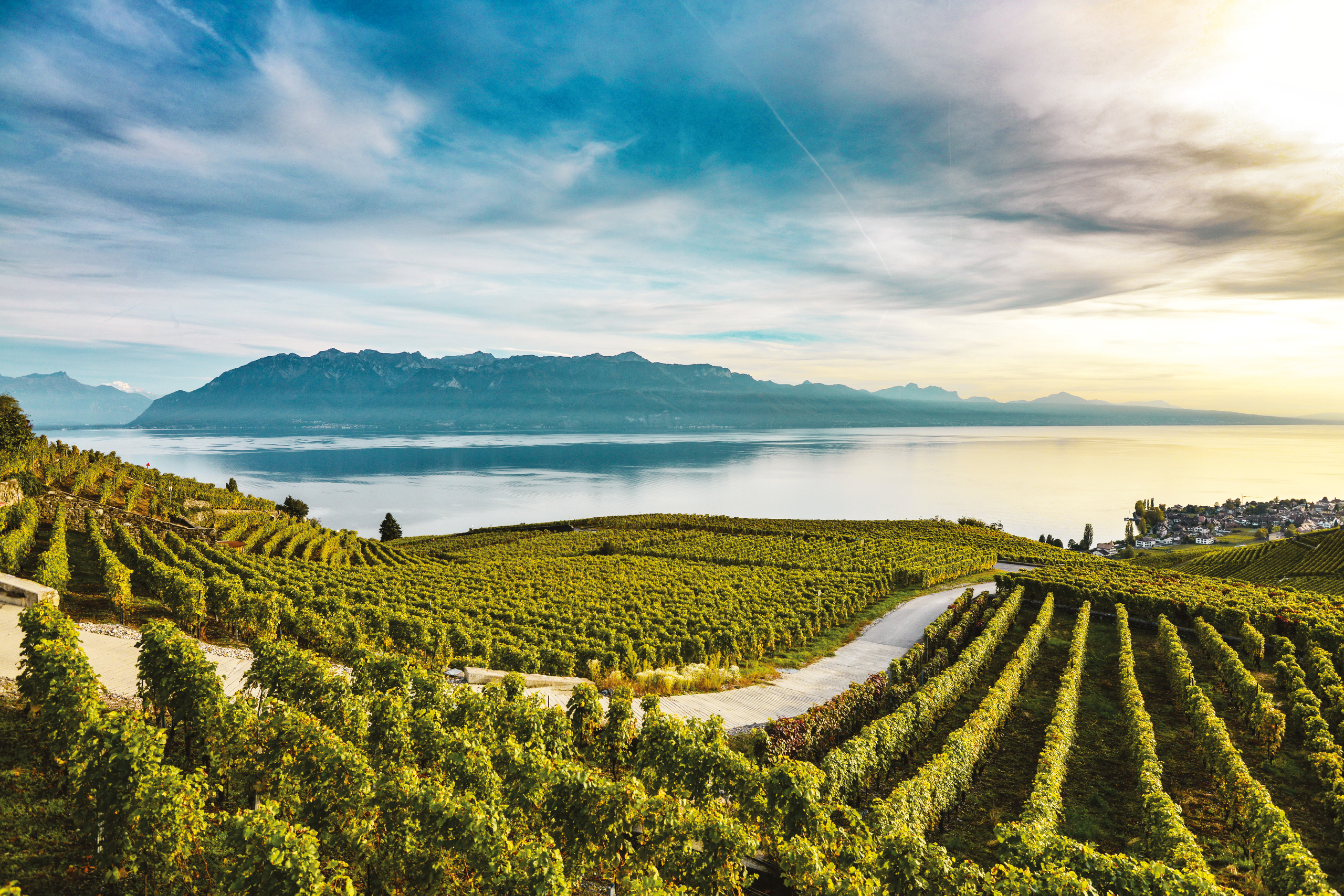 Balade Lavaux