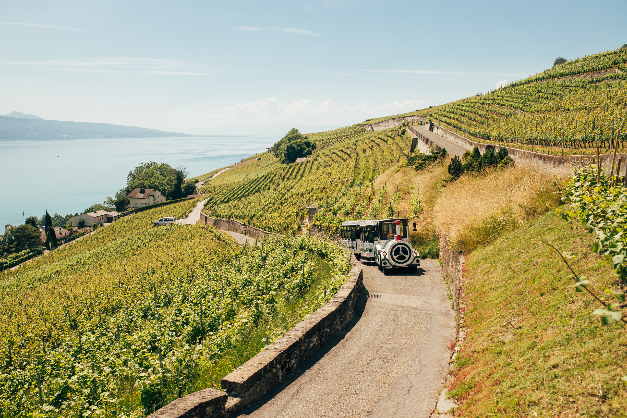 Lavaux Panoramic 2021