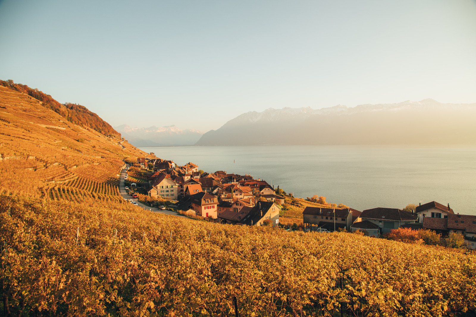 Fullscreen Header Image