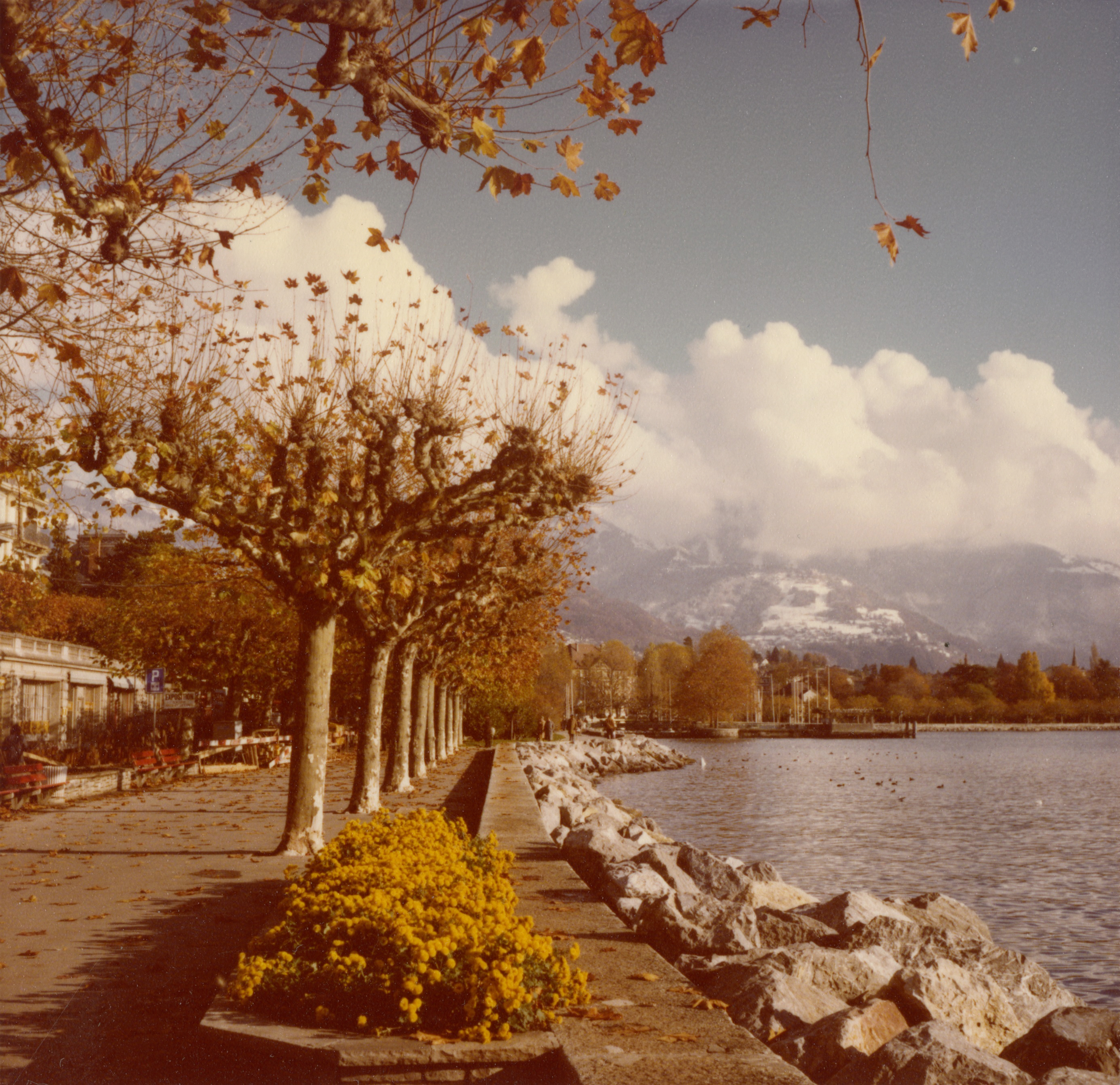 Quai Perdonnet_4.nov.1979_photo.J.Rieder