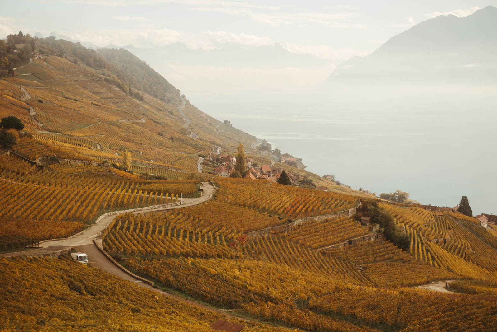 Automne - Lavaux