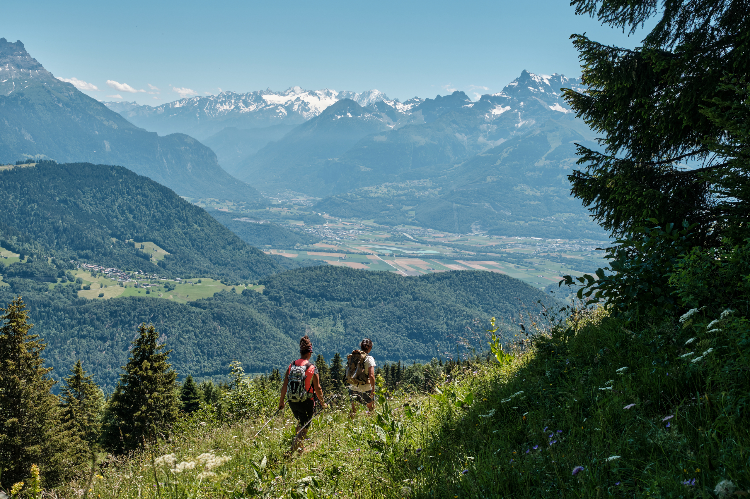 Mountain guides in Leysin