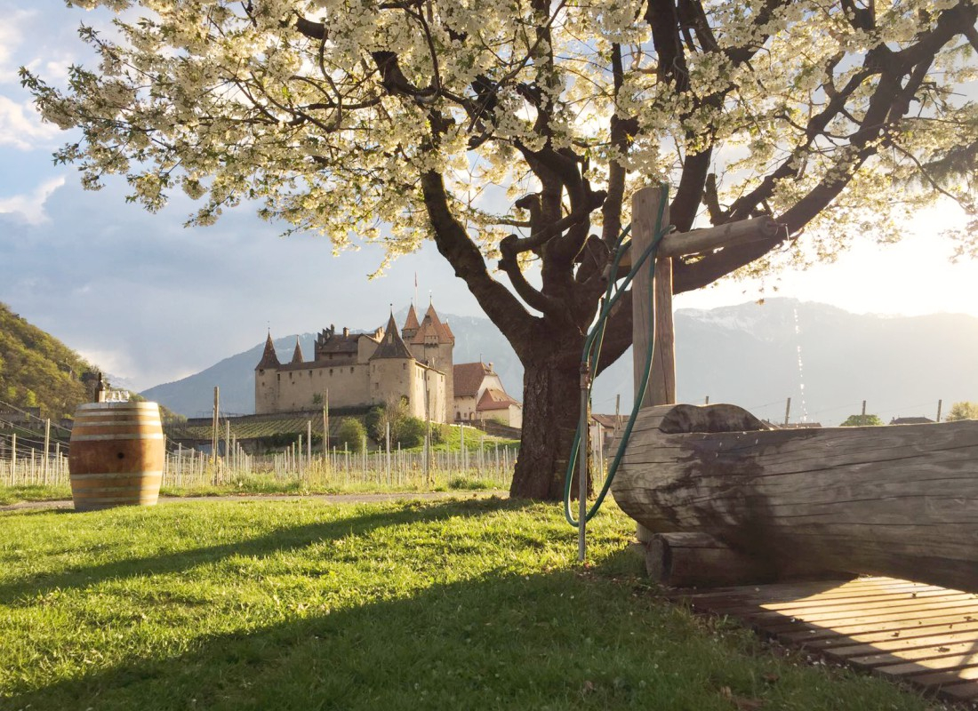 Sommerliche Unterhaltung in Aigle