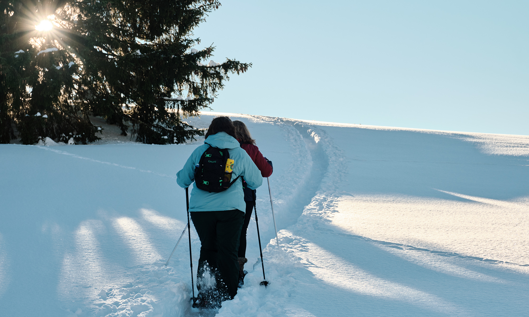 Tous les itinéraires de randonnée hivernale à Leysin