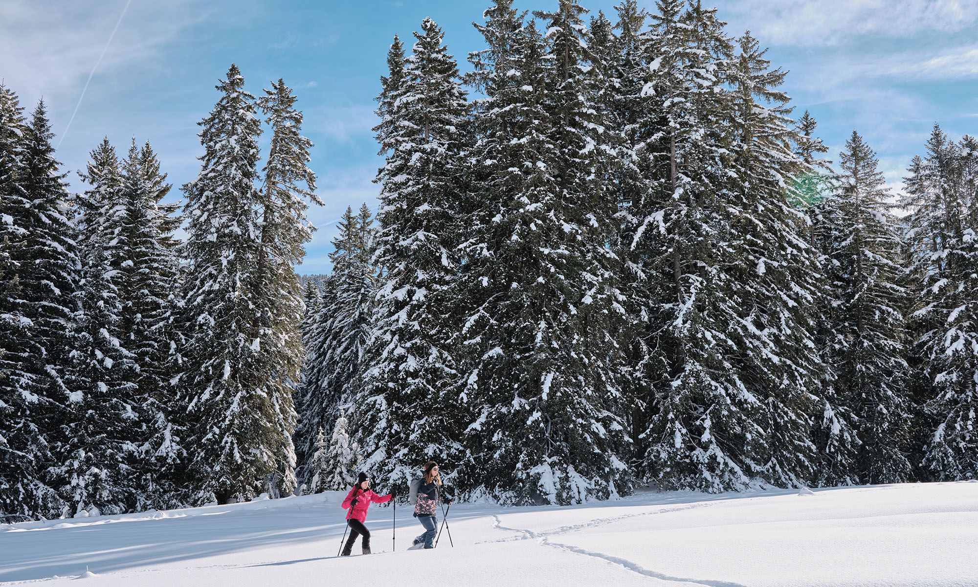 Guides and mountain leaders at Les Mosses