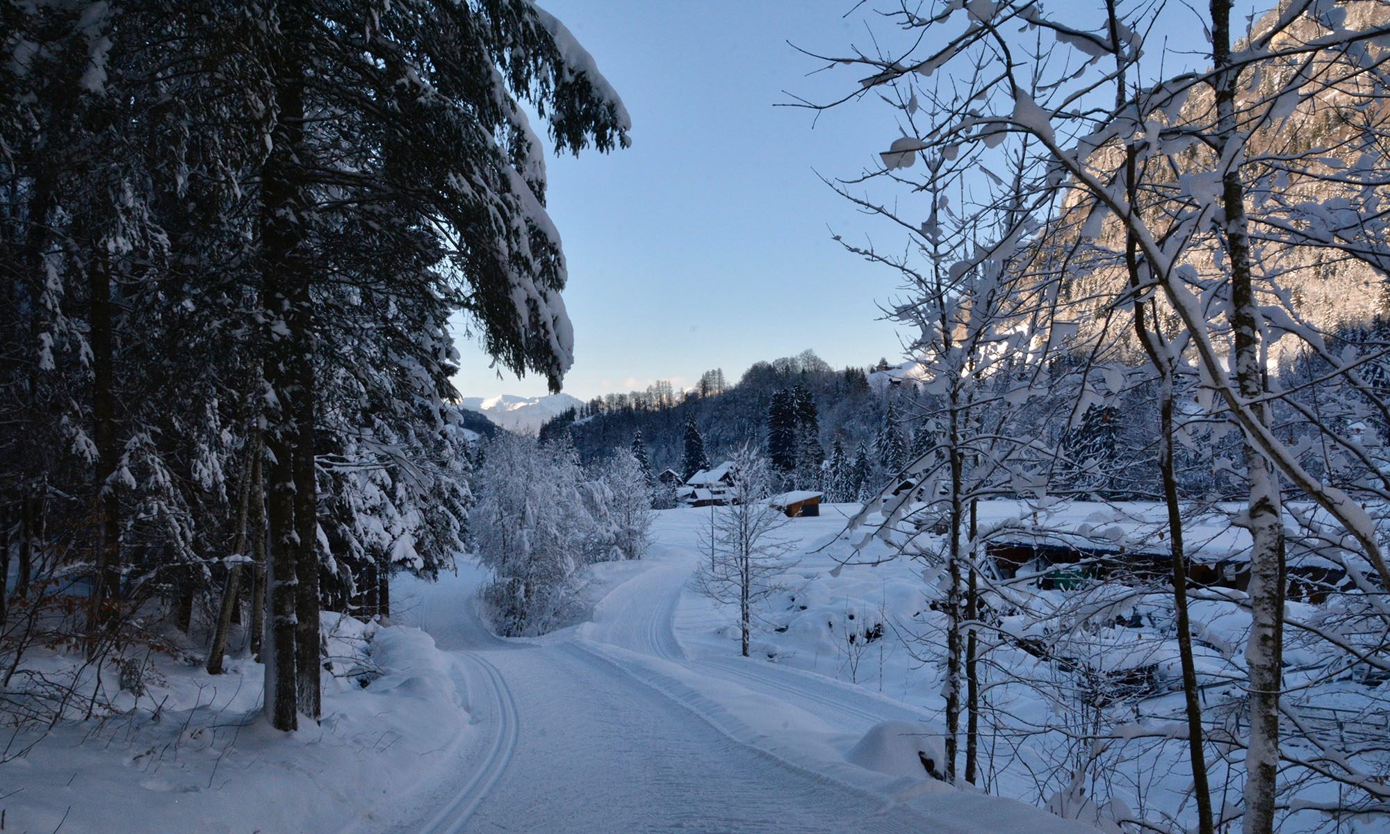 Skilanglauf in Bex