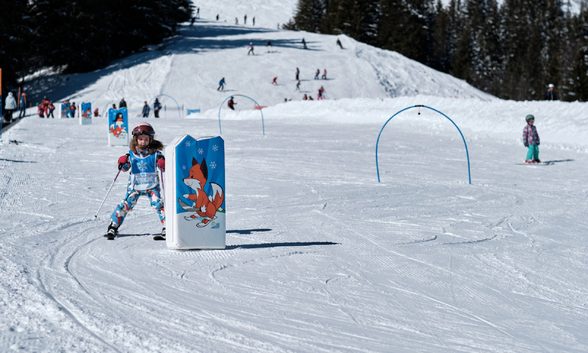 Jardins des neiges