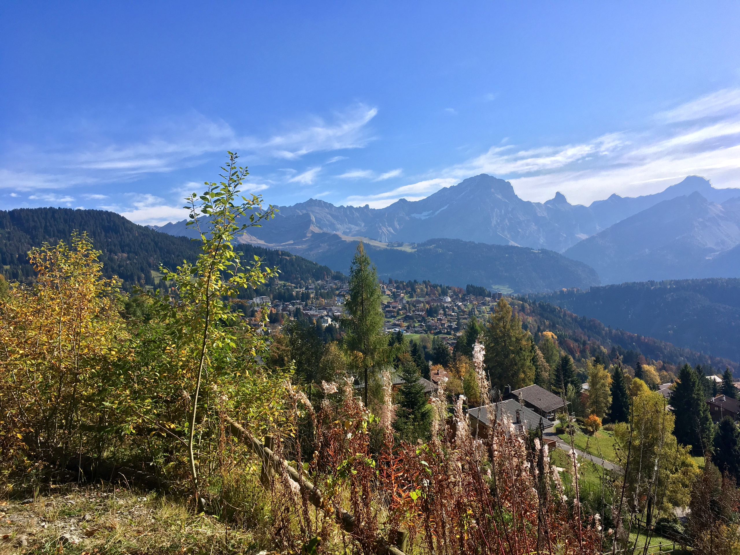 Sentiers didactiques en été à Villars
