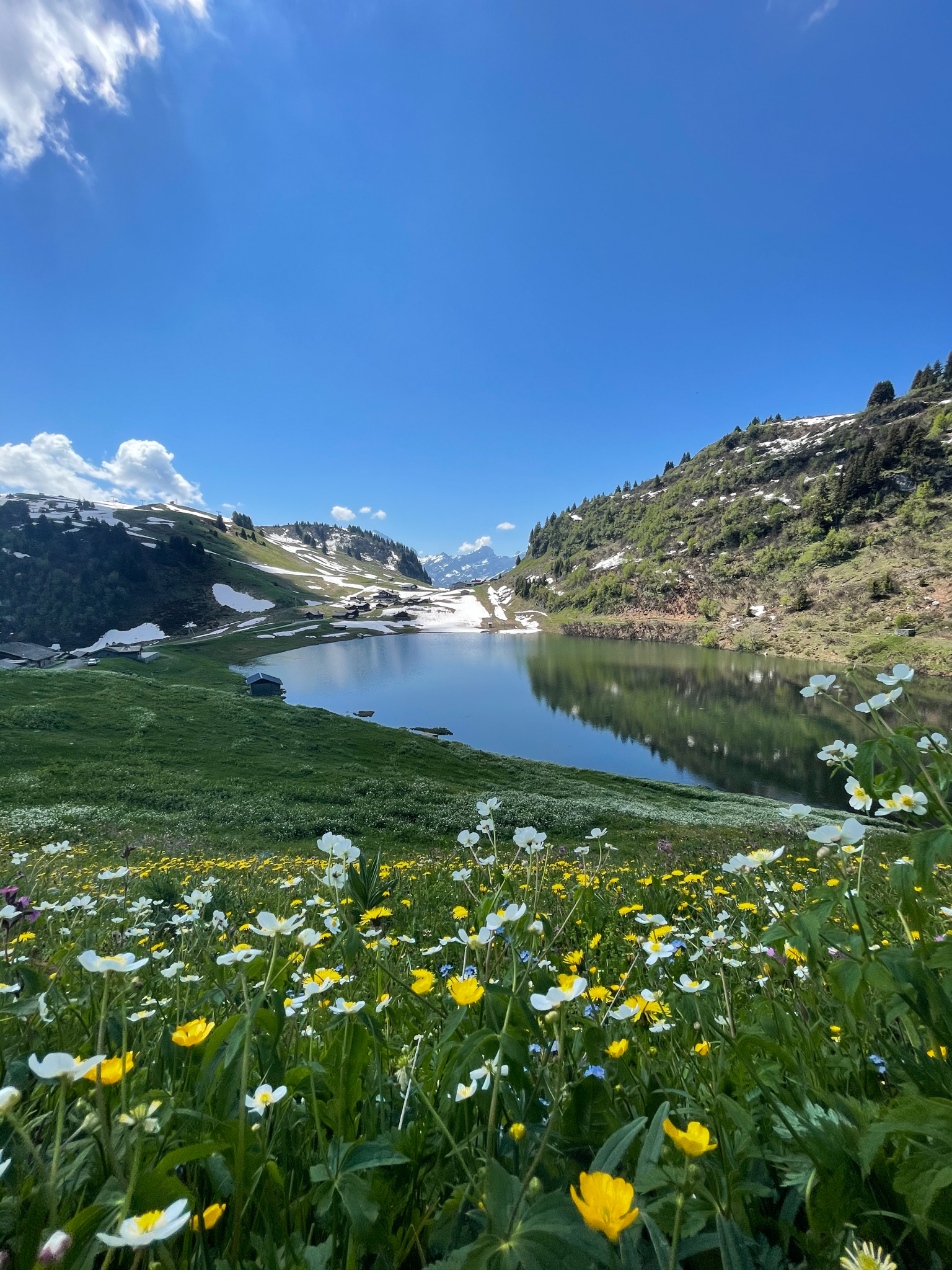 Week-end à Villars & Ollon au printemps : notre top 10 des activités accessibles