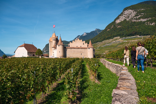 Château d’Aigle et Musée de la vigne du vin et de l'étiquette