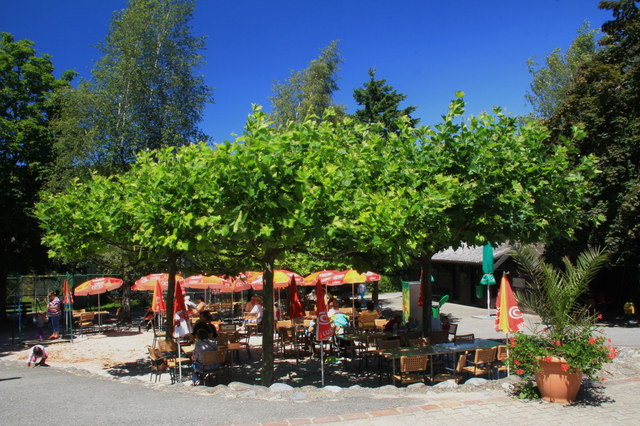 Servion Zoo