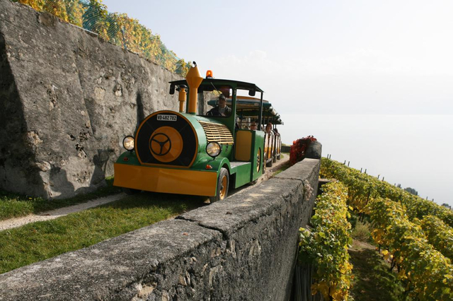 Lavaux Express