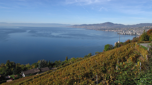 Villeneuve vignoble