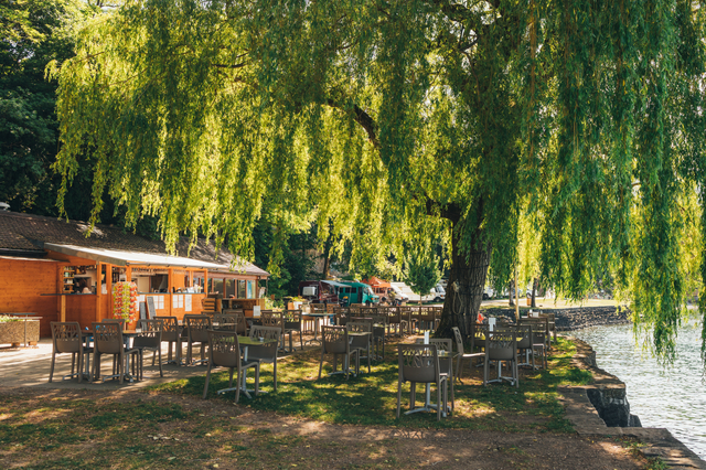 Restaurant de la Maladaire - Terrasse