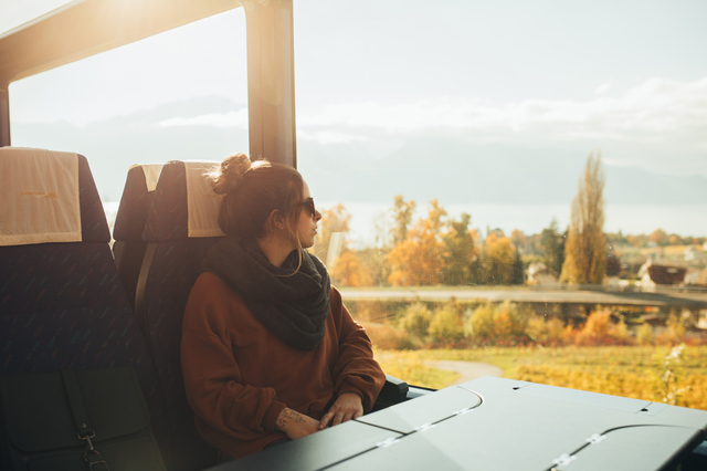 Train MOB automne