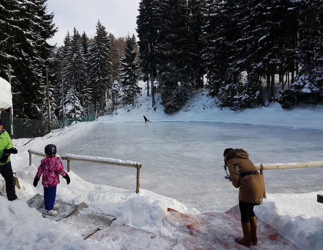 patinoire Caux