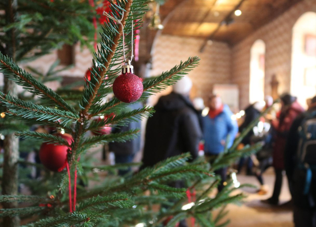 Un sapin de Noël visible dans la Salle du Châtelain 