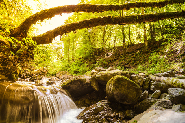 Gorges du Chauderon
