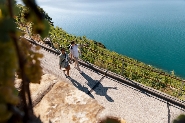 La Route des Grands Crus - ST