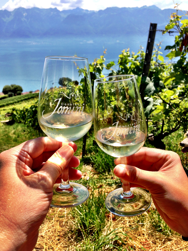 les 2 verres Jomini dans la vigne 1